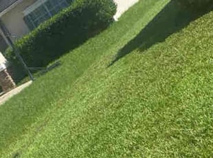 Aletheia C.'s grass cutting service result