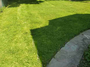 Kent T.'s lawn service service result