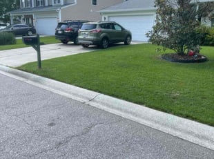 Willie E.'s lawn maintenance service result