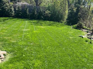 Eric S.'s lawn maintenance service result
