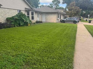 Ann K.'s lawn maintenance service result