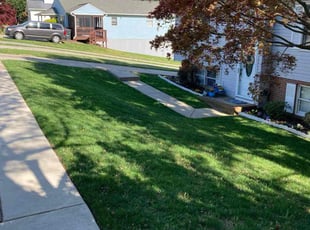 Emmanuel E.'s landscape maintenance service result