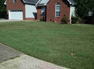 Amy W.'s lawn service service result