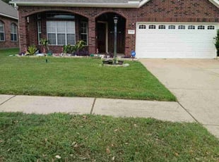 James S.'s lawn care service result