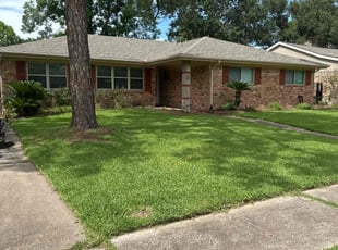 Daniel G.'s lawn care service result