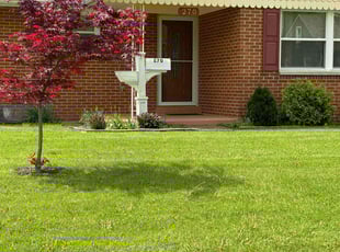 Pat M.'s turf maintenance service result
