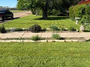 Patricia W.'s lawn care service result