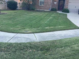 Steven G.'s lawn service service result