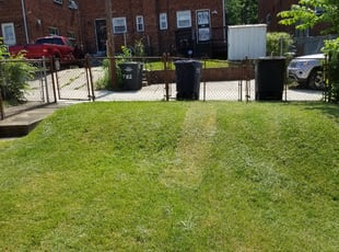 Jose T.'s lawn service service result