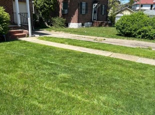 Myrna O.'s turf maintenance service result