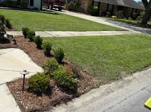 Deyshawnta G.'s lawn care service result