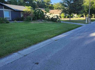 Ethan H.'s turf care service result
