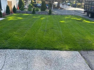 Dae K.'s lawn service service result