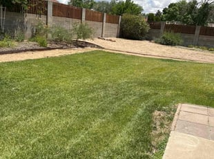 Brandon B.'s grass cutting service result
