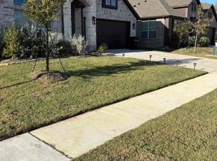 John M.'s turf care service result