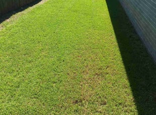 Aprille G.'s turf care service result