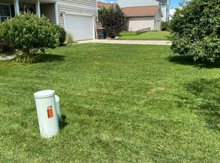 Laura Z.'s lawn care service result
