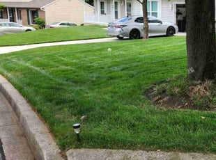 Ella E.'s lawn maintenance service result