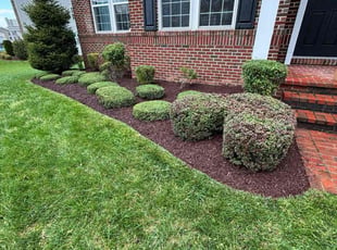 Desiree C.'s Flower Bed Weeding service result
