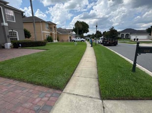 Kristina B.'s grass cutting service result