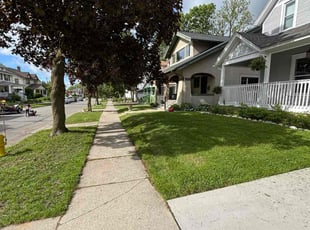 Janet S.'s turf care service result