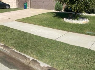 Latisha B.'s turf maintenance service result