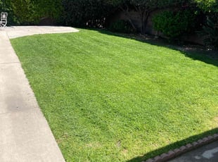 Maura R.'s lawn service service result