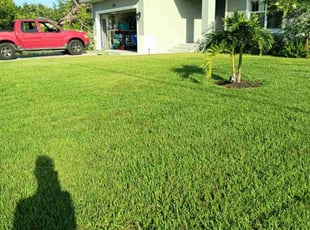 Jane L.'s lawn care service result