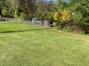 Kathryn B.'s turf maintenance service result