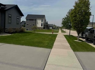 Teresa M.'s turf care service result