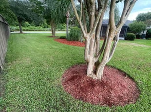 Sherry J.'s lawn service service result