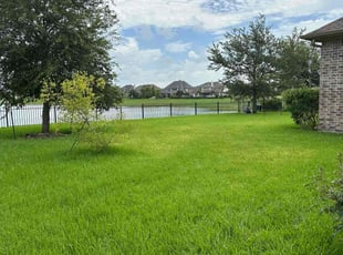 Kelli S.'s turf care service result