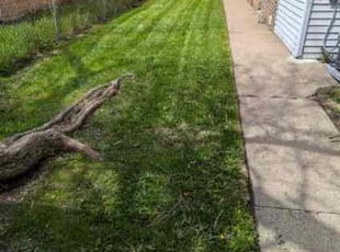 Mrs. W.'s lawn maintenance service result