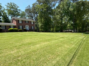 Rori L.'s lawn service service result