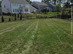 Edward W.'s lawn service service result