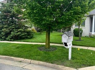 Gale T.'s lawn maintenance service result