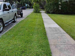 Joann H.'s lawn care service result