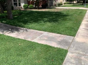 Tencianah J.'s lawn maintenance service result