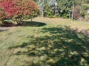 John G.'s lawn care services service result