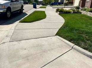 Dahabe A.'s grass cutting service result