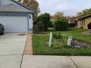 Brad S.'s grass maintenance service result