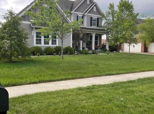 Andrew A.'s turf care service result