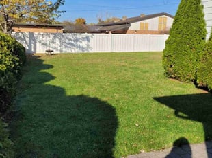 Dewey B.'s lawn care service result