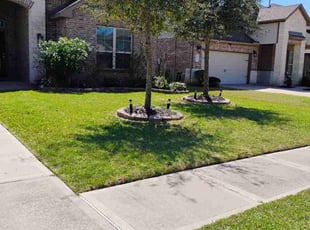 Graylane B.'s grass maintenance service result