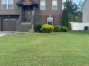 Taylor P.'s turf care service result