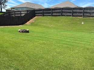 Morgan R.'s lawn service service result