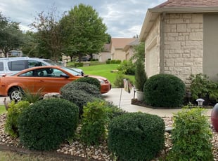 Rita R.'s Bush Trimming service result