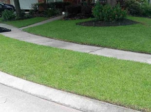 Jonah E.'s turf care service result