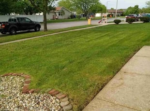 Alicia D.'s lawn maintenance service result