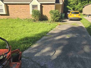 Toni P.'s Bush Trimming service result
